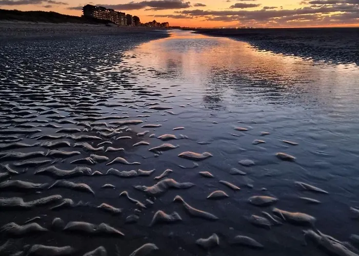 Appartamento Sea Views In Bray-Dunes